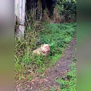 Bundle For BO 😘😘😘